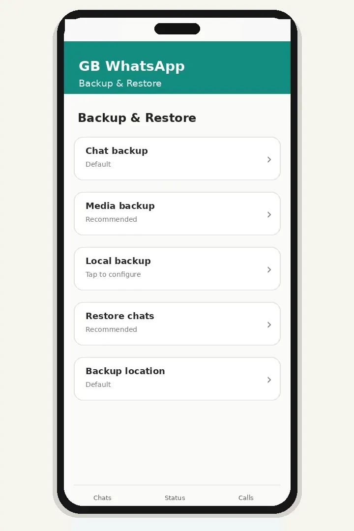 Local Backup Independent of Google Drive